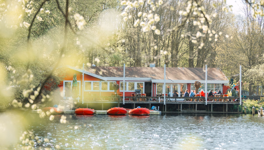 Phono Lake