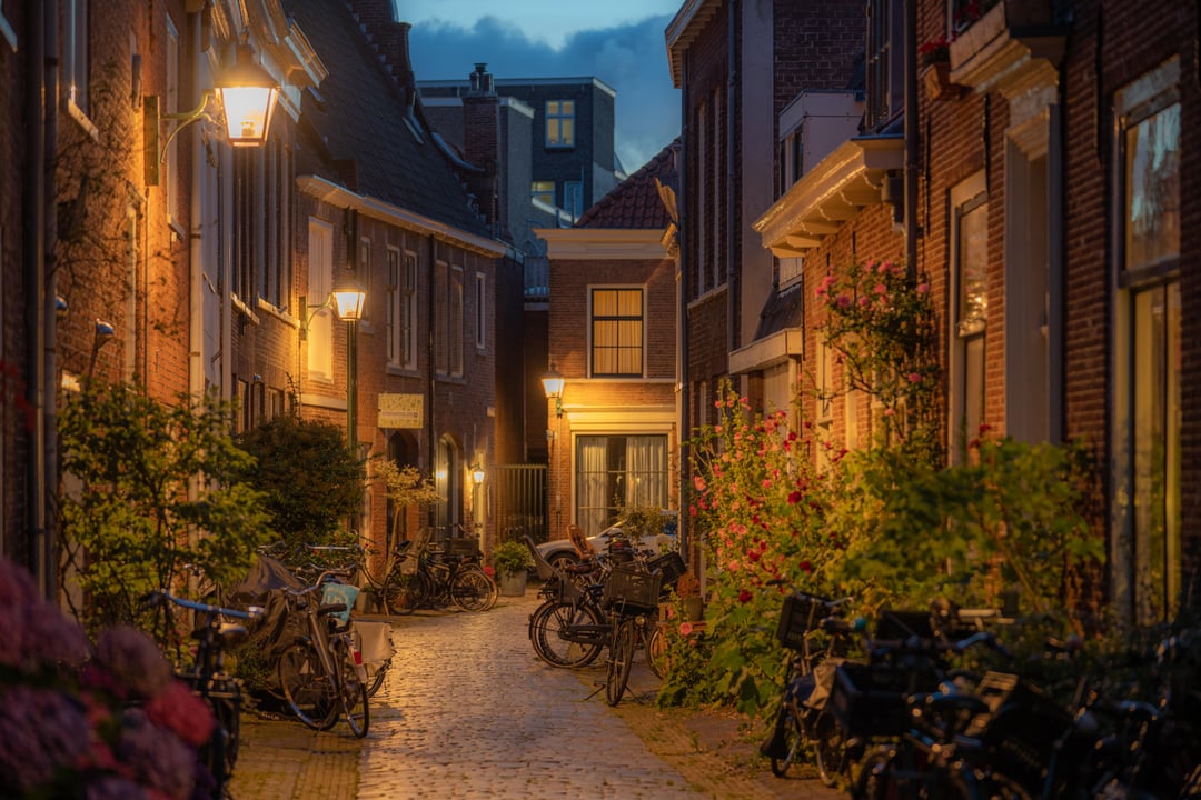Things to do in Haarlem | I amsterdam