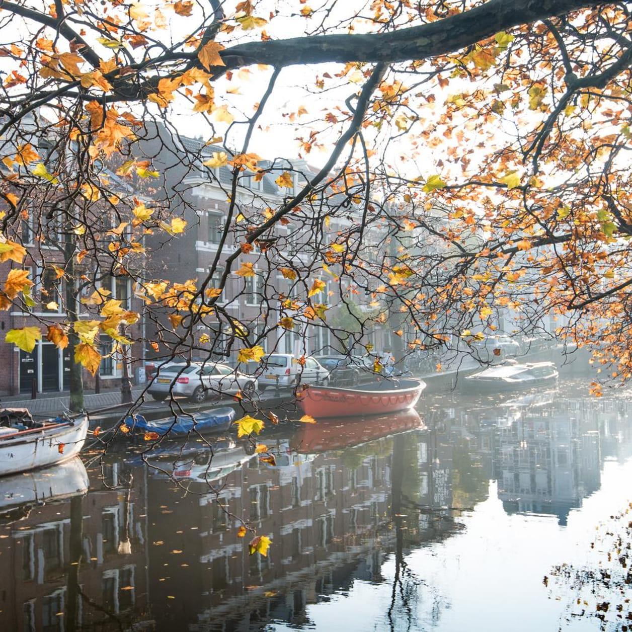 Autumn I amsterdam