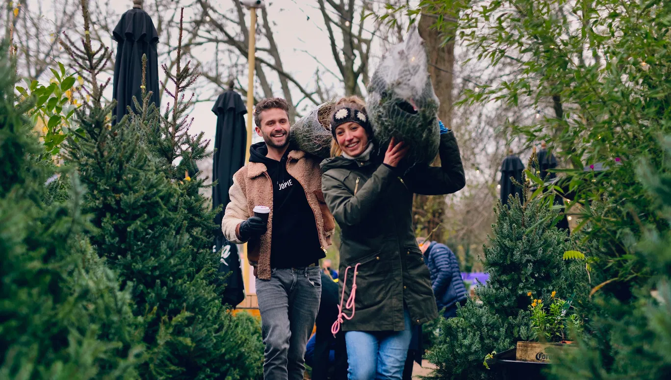 De beste plekken om kerstboom te kopen I amsterdam