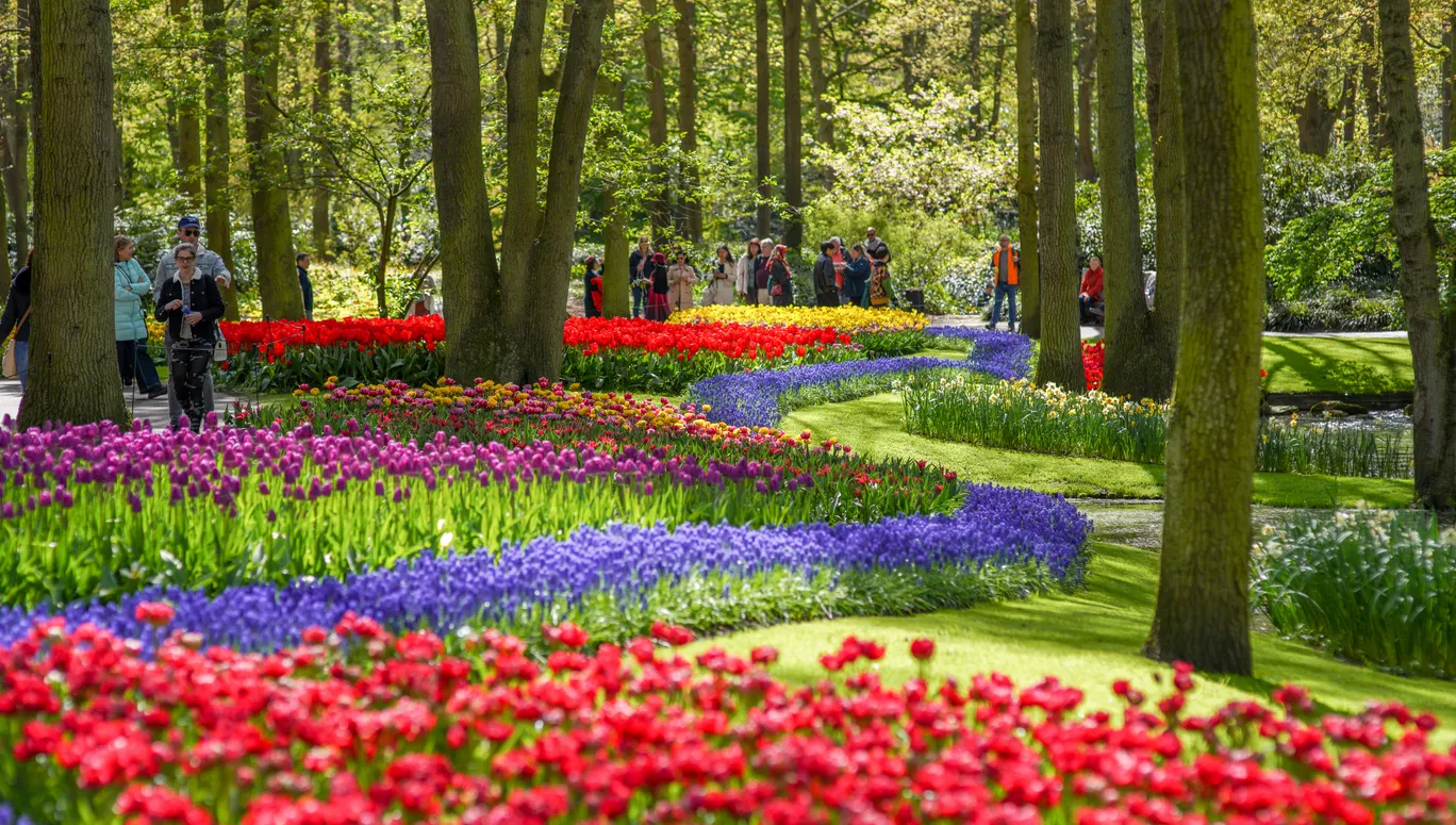 5 reasons to visit Keukenhof in Spring 2024 | I amsterdam